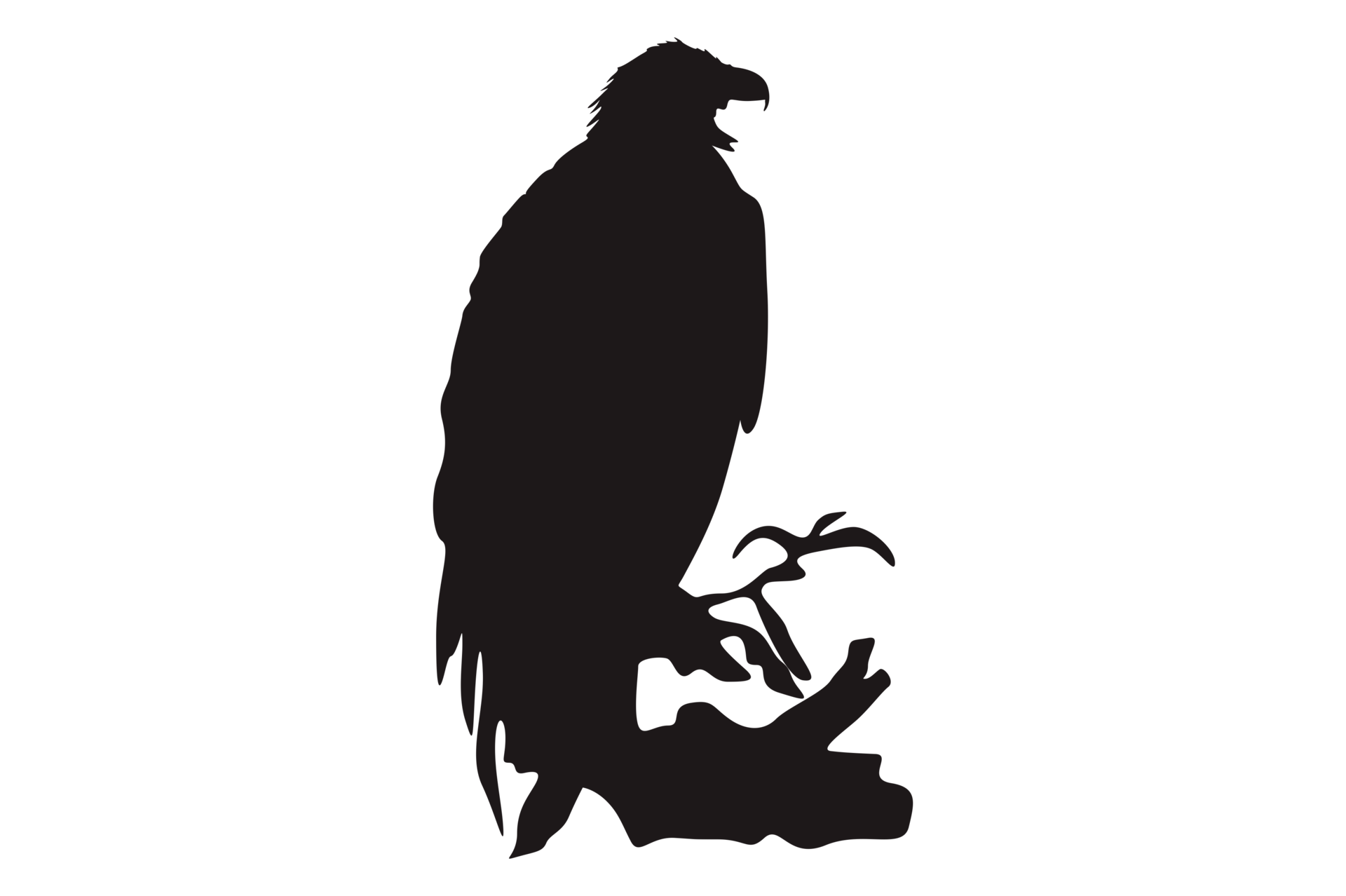 Free Animal Perched Eagle Silhouette 23258100 Png With Transparent