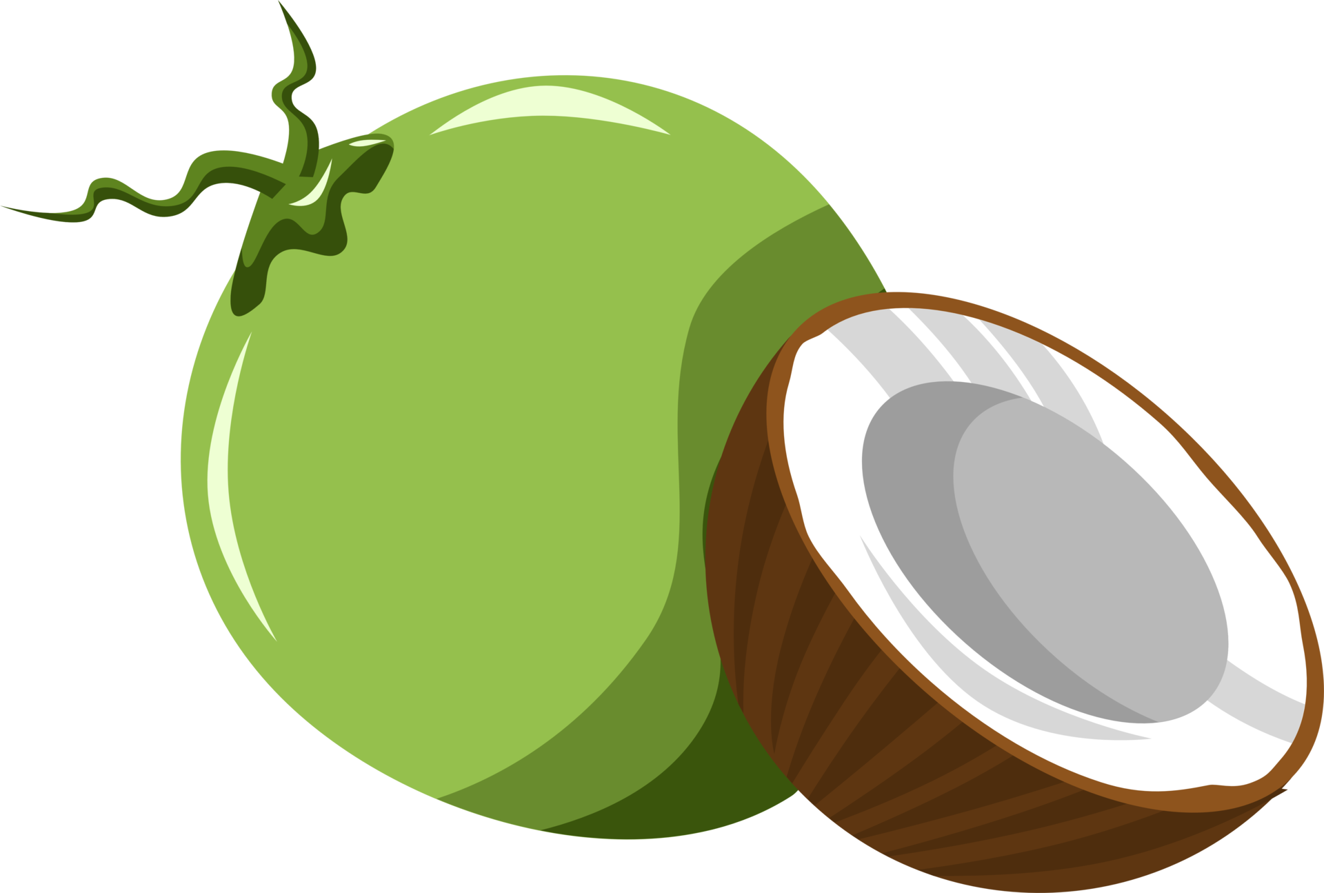 Green Coconut Png