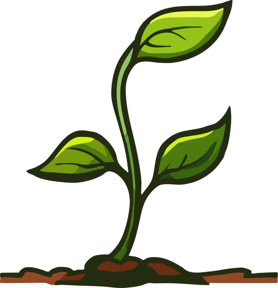 Sprout png graphic clipart design