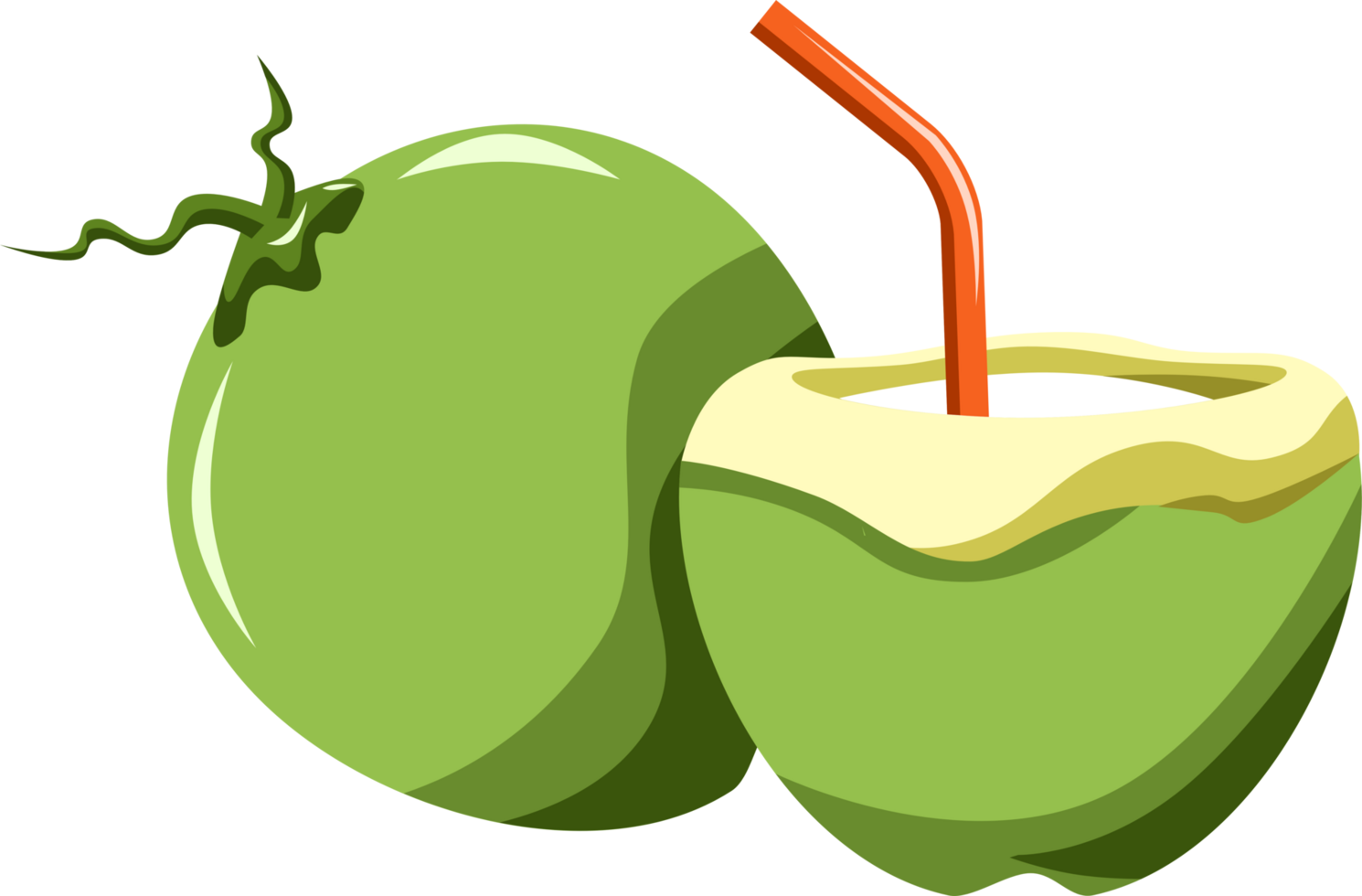 coconut png graphic clipart design