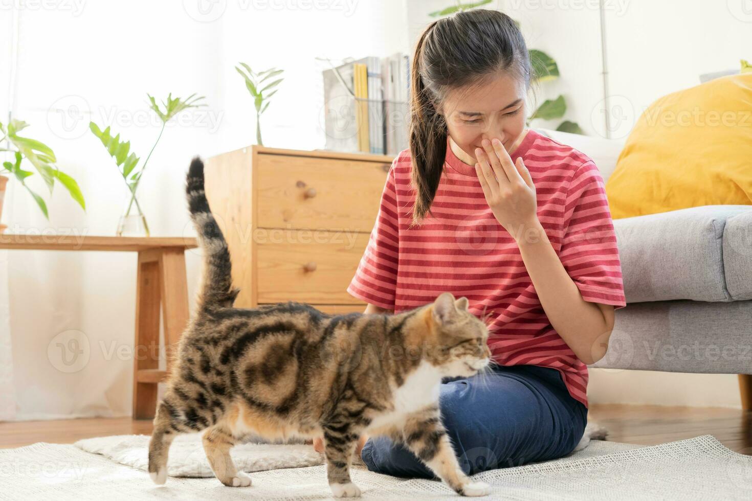 asiático joven mujer, niña mano en estornudos desde piel alergia mientras jugando con su encantador gato, mascota en alfombra en vivo habitación a hogar, departamento. salud cuidado rinitis enfermedades alérgico a animal cabello. foto