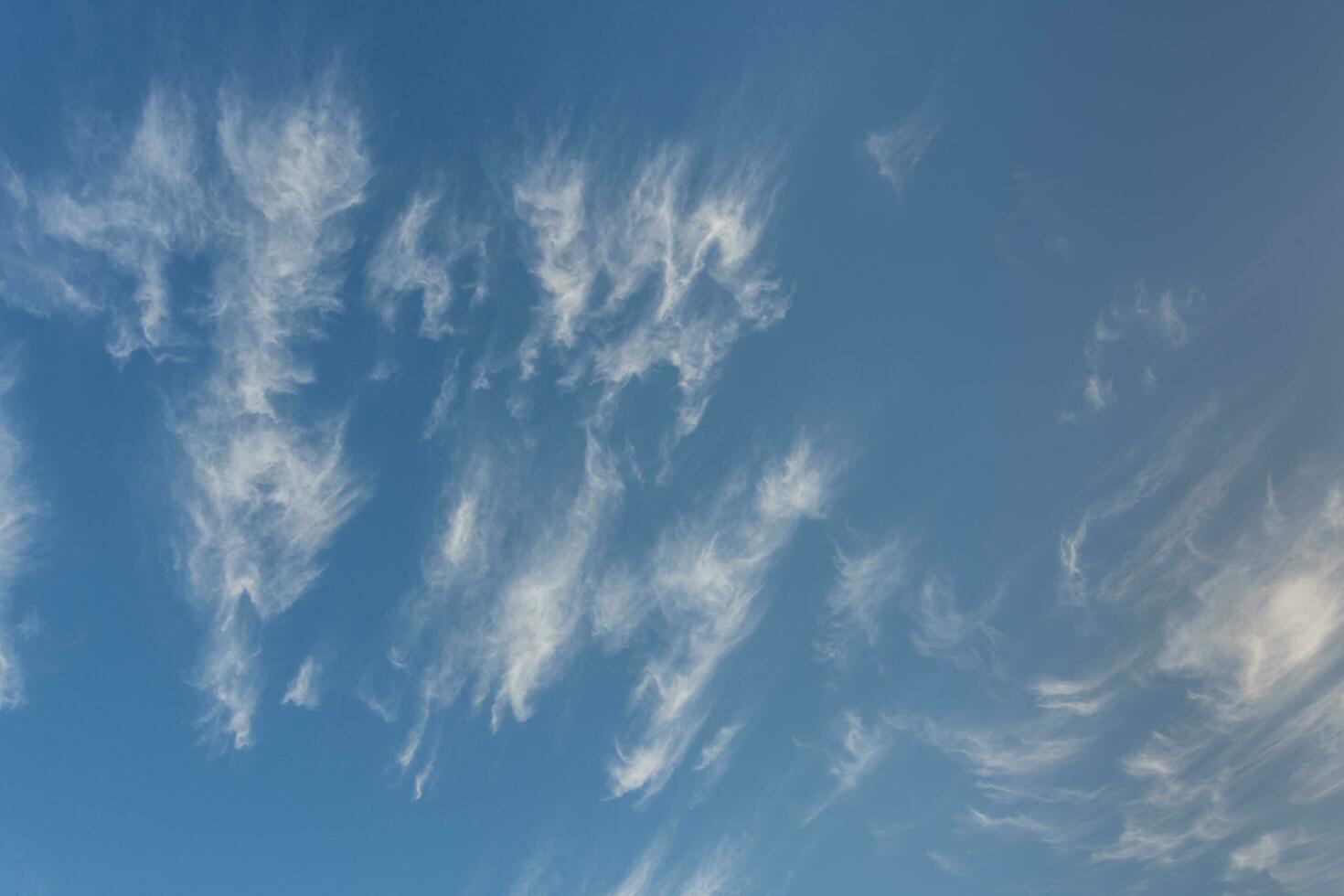 fine cirrus clouds at the blue sky over the sea photo