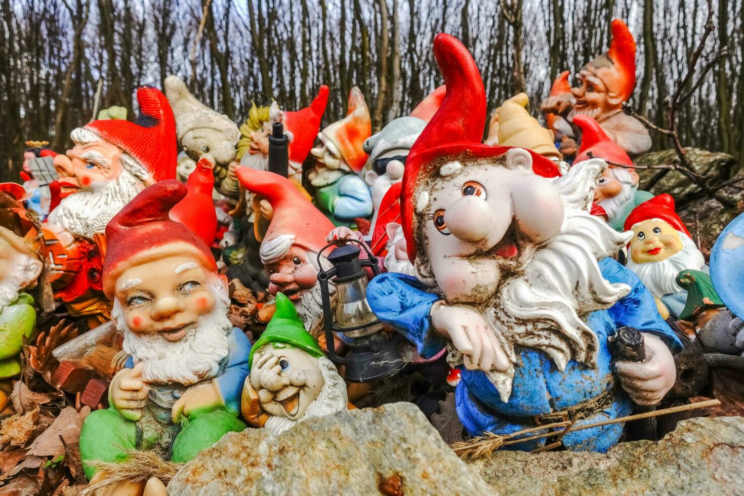 lot of colorful different garden gnomes at a place in the forest photo