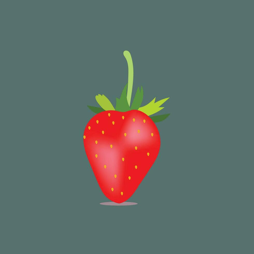 Strawberry Vector Art and Graphics