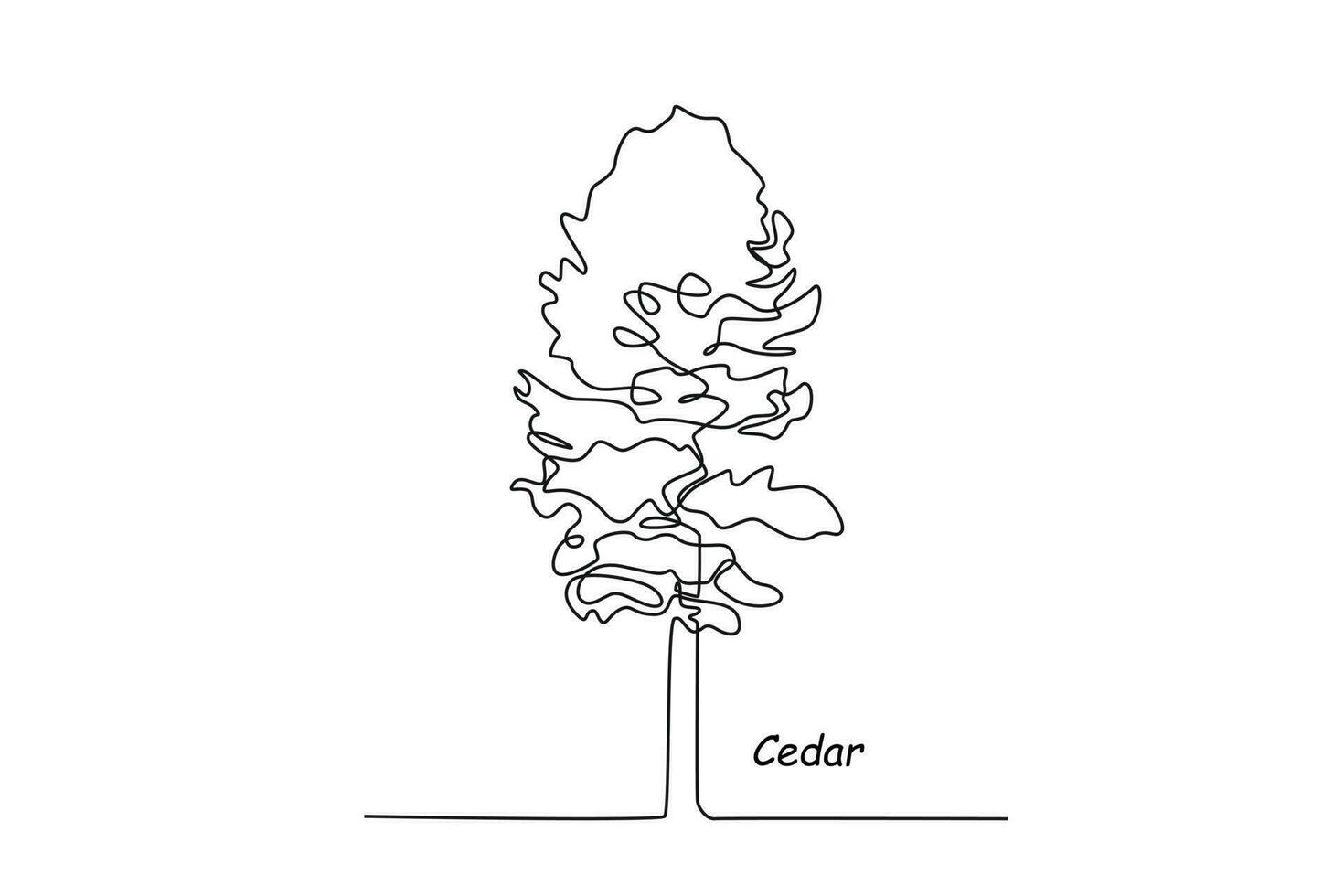 Single one line drawing cedar. Tree concept. Continuous line draw design graphic vector illustration.