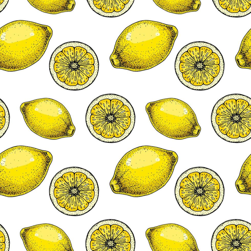 Lemon slice seamless pattern. Colorful hand drawn vector illustration in sketch style. Tropical exotic citrus fruit summer background