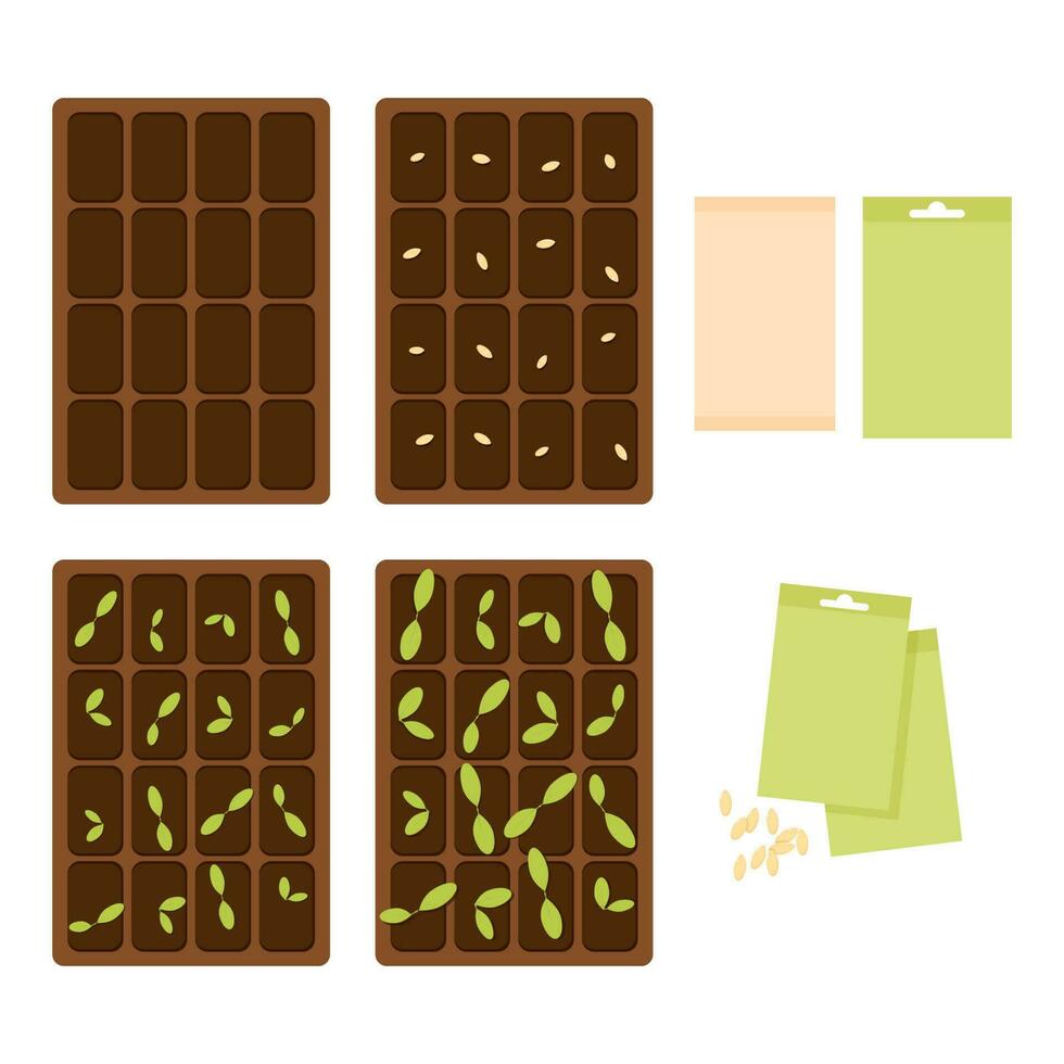 Seed containers and plant sprouts vector