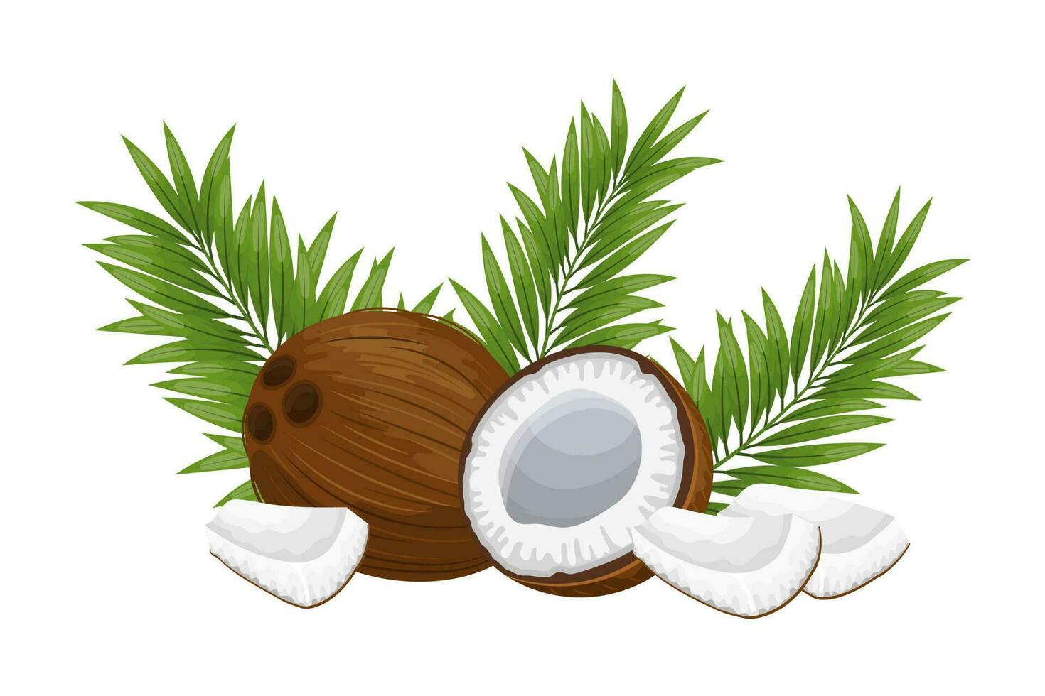 Coconuts and pieces of coconut with green leaves on a white background. Illustration, vector