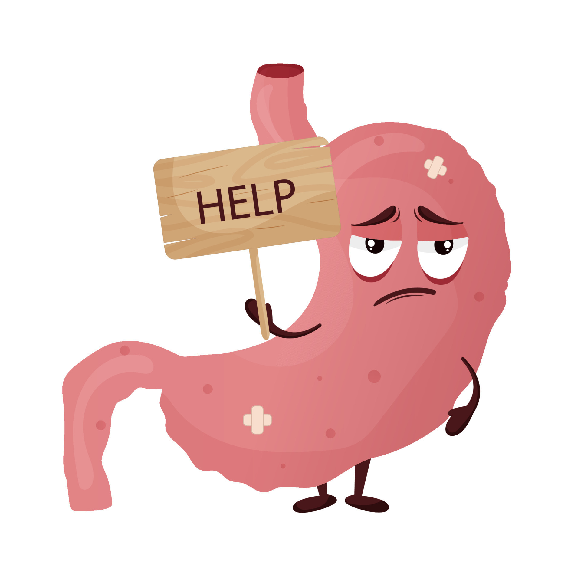 Cartoon sad stomach character with wooden sign in hands. Concept sick  internal organ of seeking help. Vector illustration 23263080 Vector Art at  Vecteezy