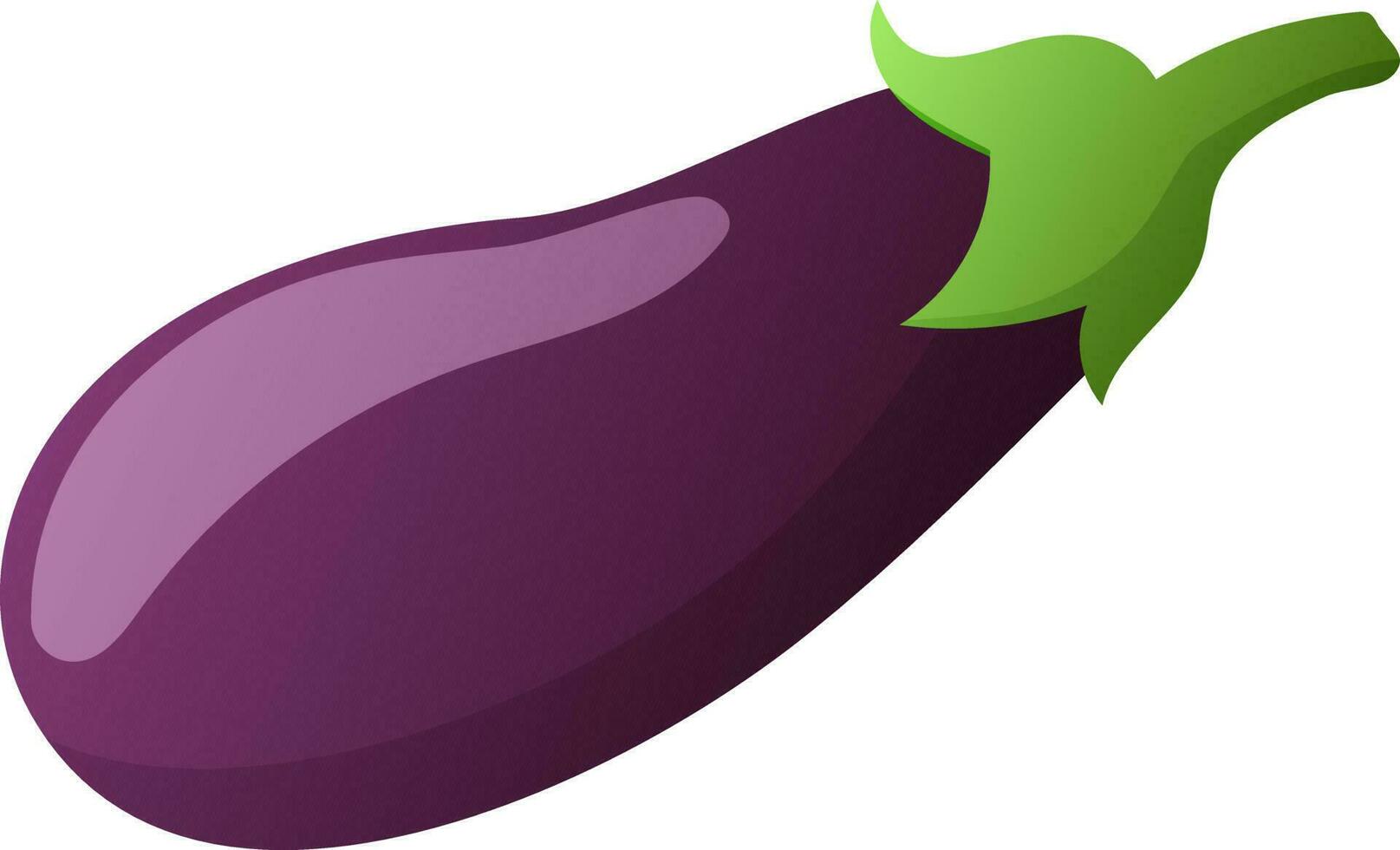 Eggplant isolated on white background vector