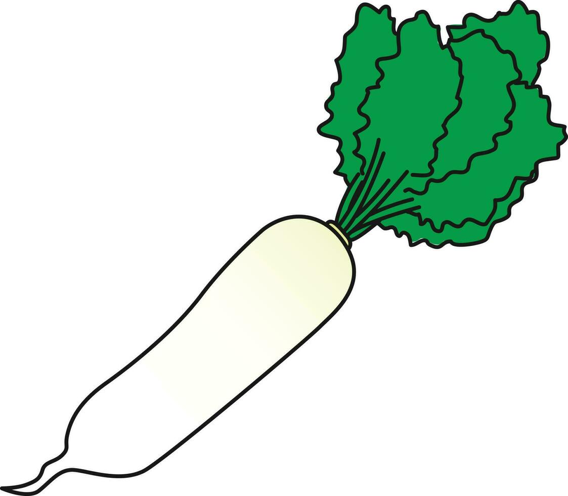 daikon Illustration Vector