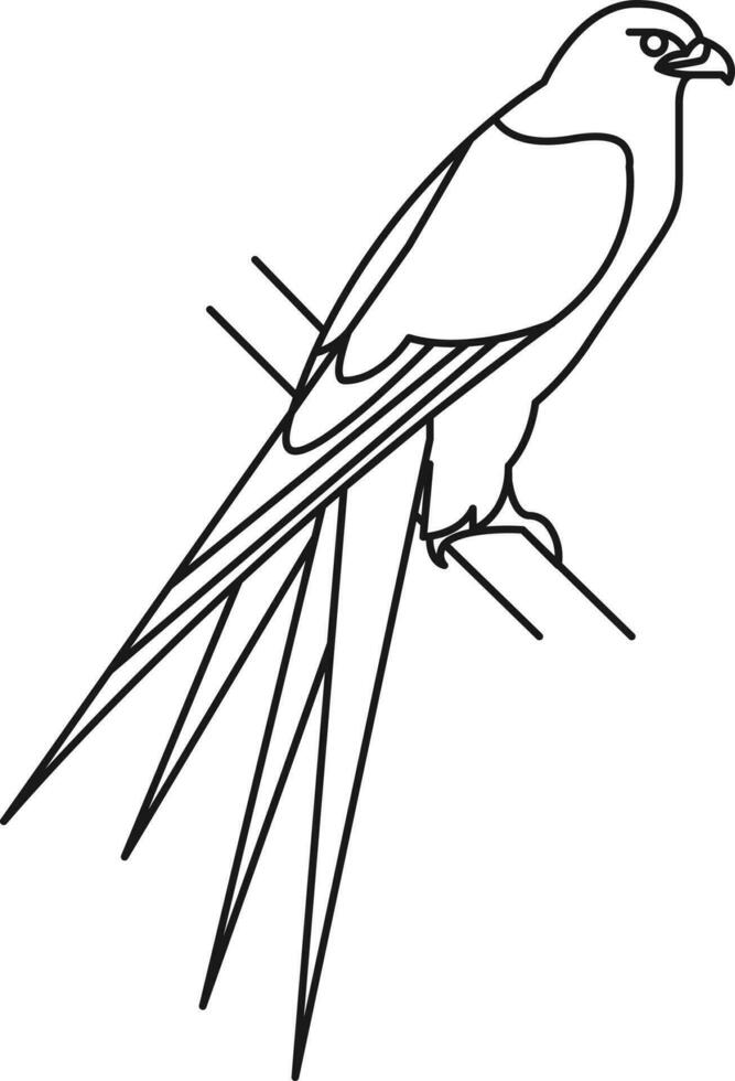 Bird Illustration Vector