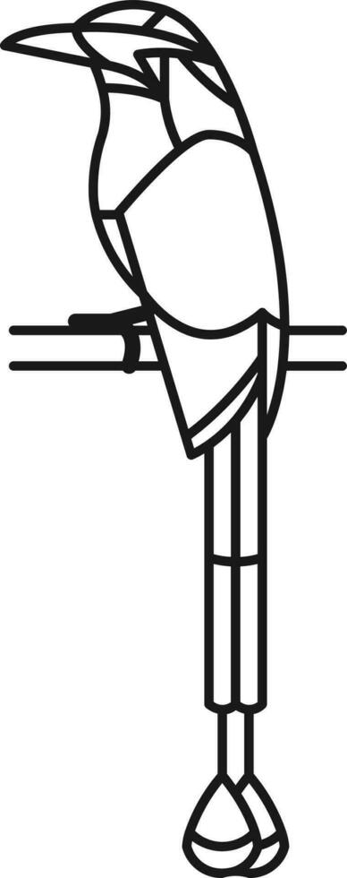 Bird Illustration Vector