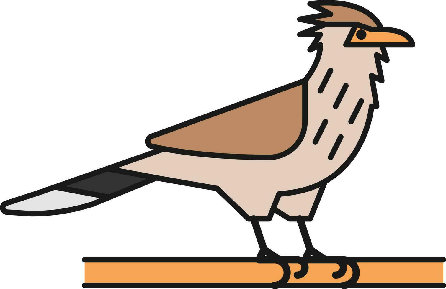 Bird Illustration Vector