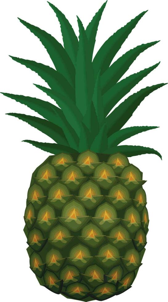 pineapple Illustration Vector