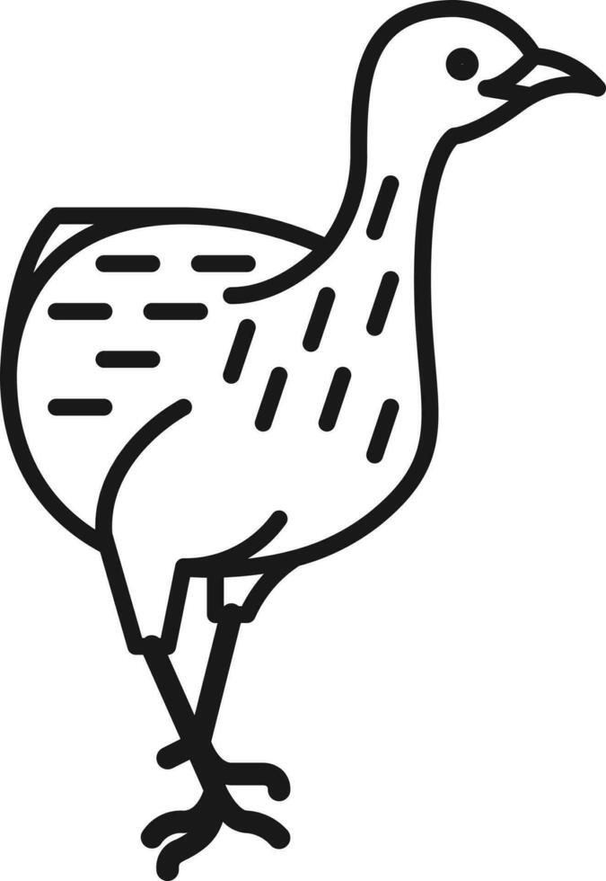 Bird Illustration Vector