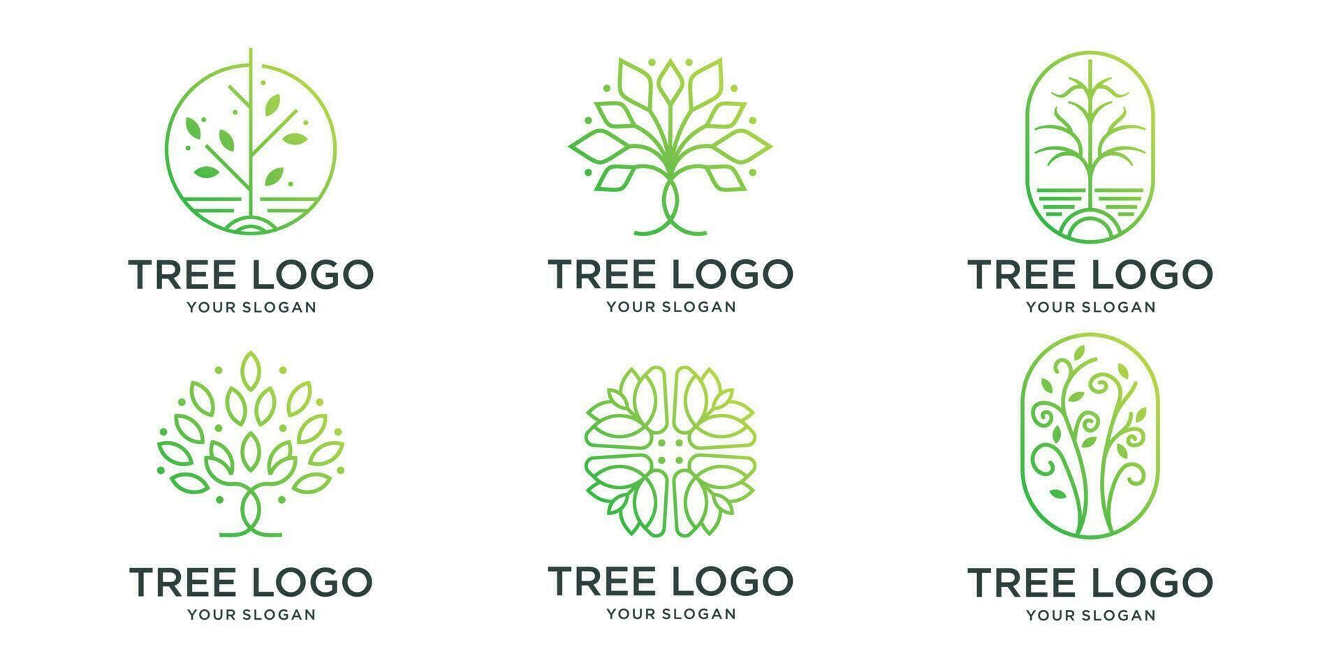 line tree logo set design template. collection of tree minimalist inspiration logotype. vector