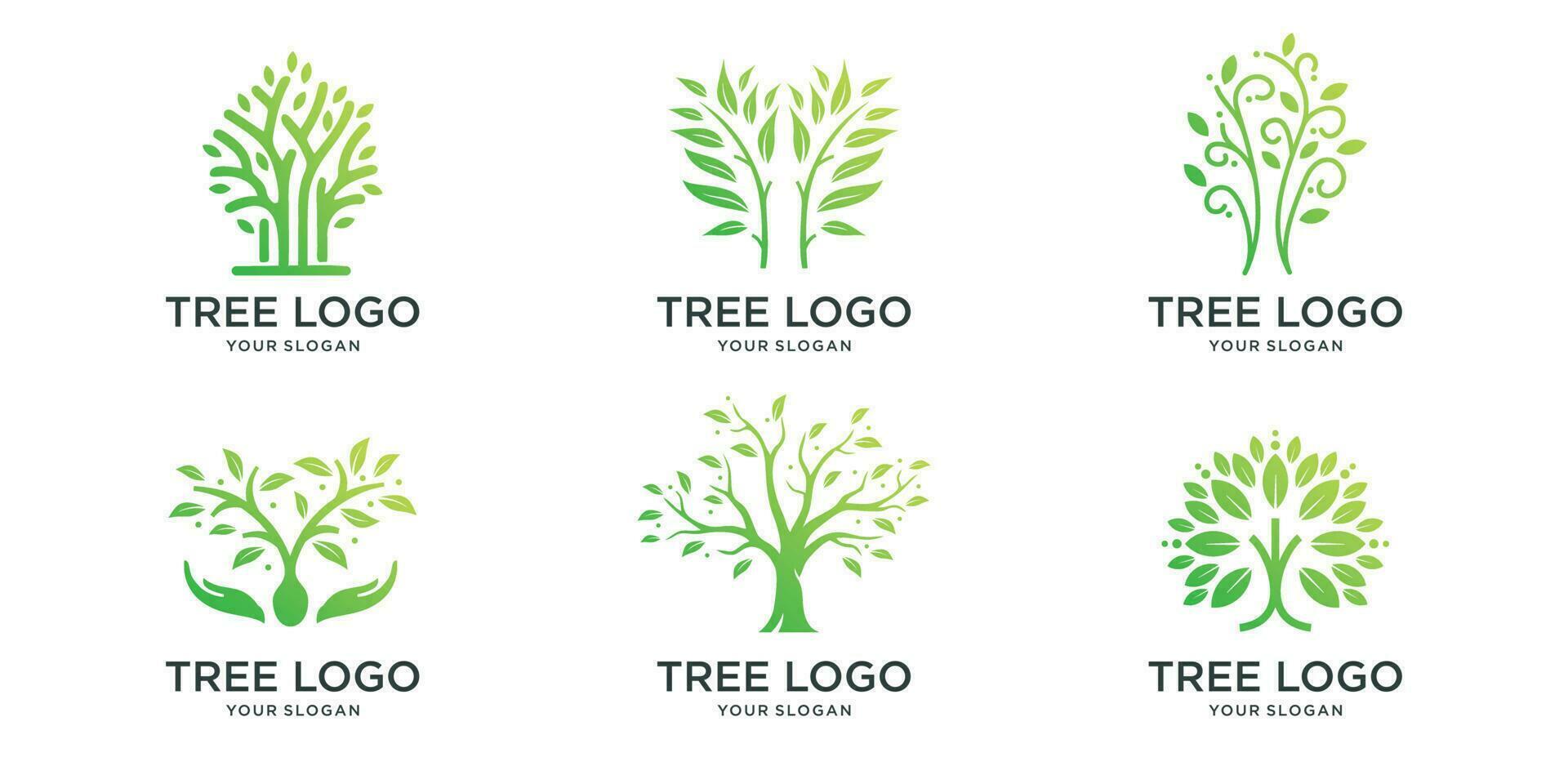 icono árbol logo conjunto diseño modelo. colección de árbol inspiraciones logotipo vector