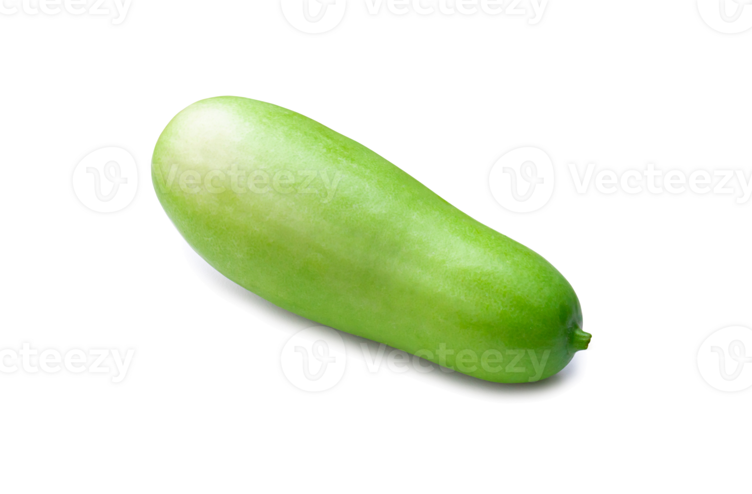 Free Topview photo of wax or white gourd isolated with clipping path