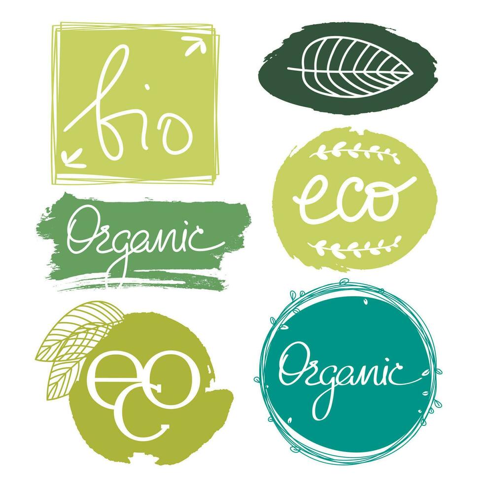 Set of organic, Eco, bio icons on the white background. Healthy food icons in grunge style vector