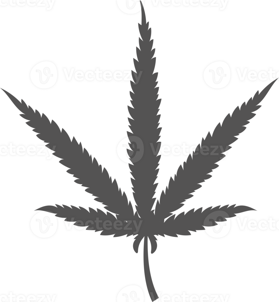 cannabis laisser symbole. chanvre plante silhouette. marijuana à base de plantes pour logo conception png