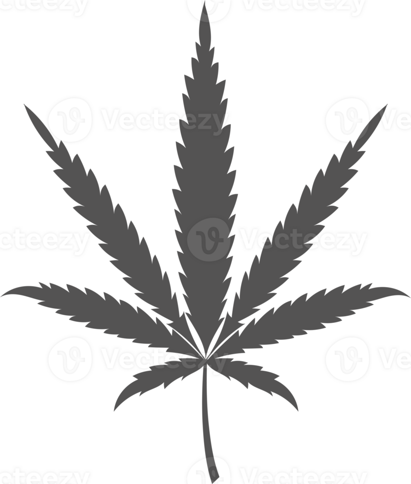 Cannabis leave symbol. Hemp plant silhouette. Marijuana herbal for logo design png