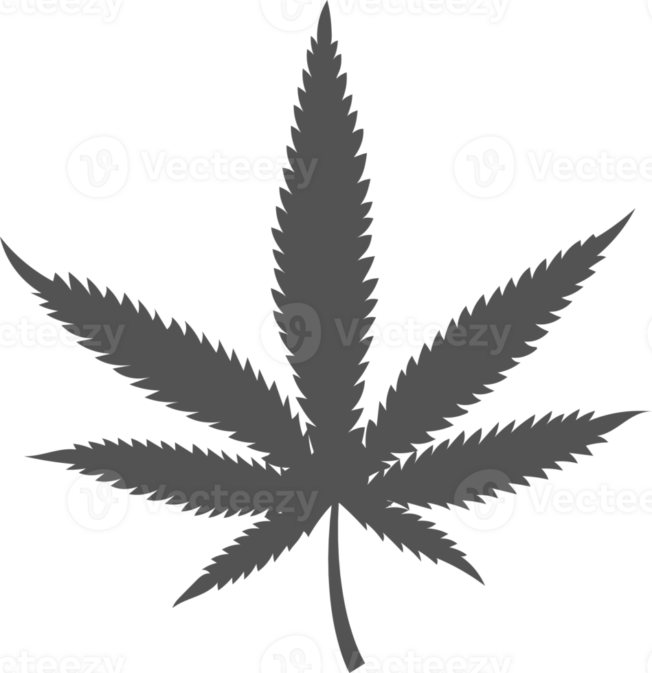 canabis salir símbolo. cáñamo planta silueta. marijuana herbario para logo diseño png