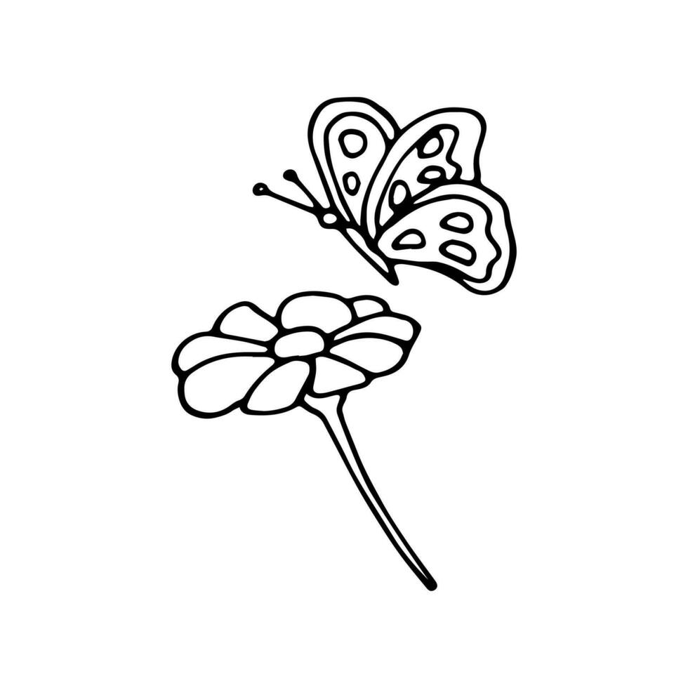 Hand drawn flower with butterfly, isolated vector illustration