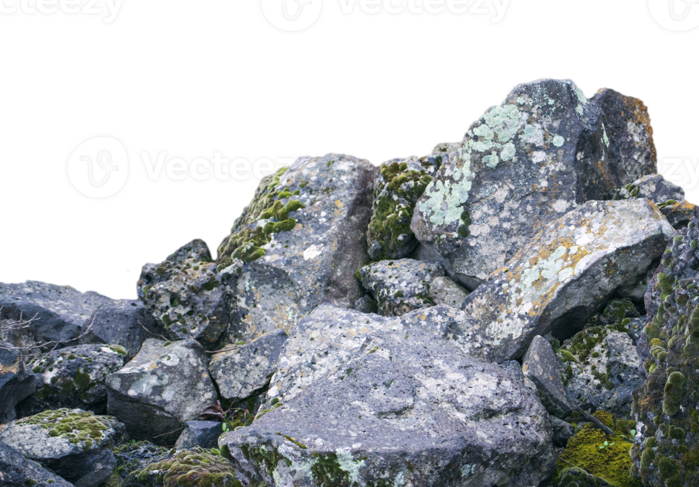 Moss and rough stones isolated PNG photo with transparent background. High quality cut out scene element.