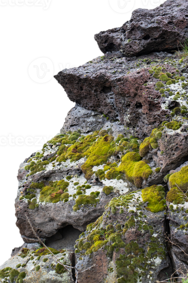 Moss and rough stones isolated PNG photo with transparent background. High quality cut out scene element.
