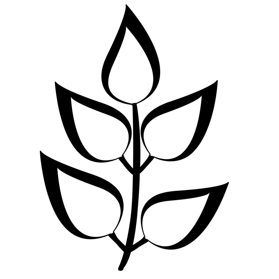 black and white leaves png