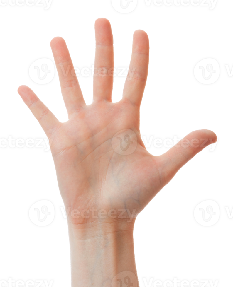Human hand showing five fingers 23265440 PNG