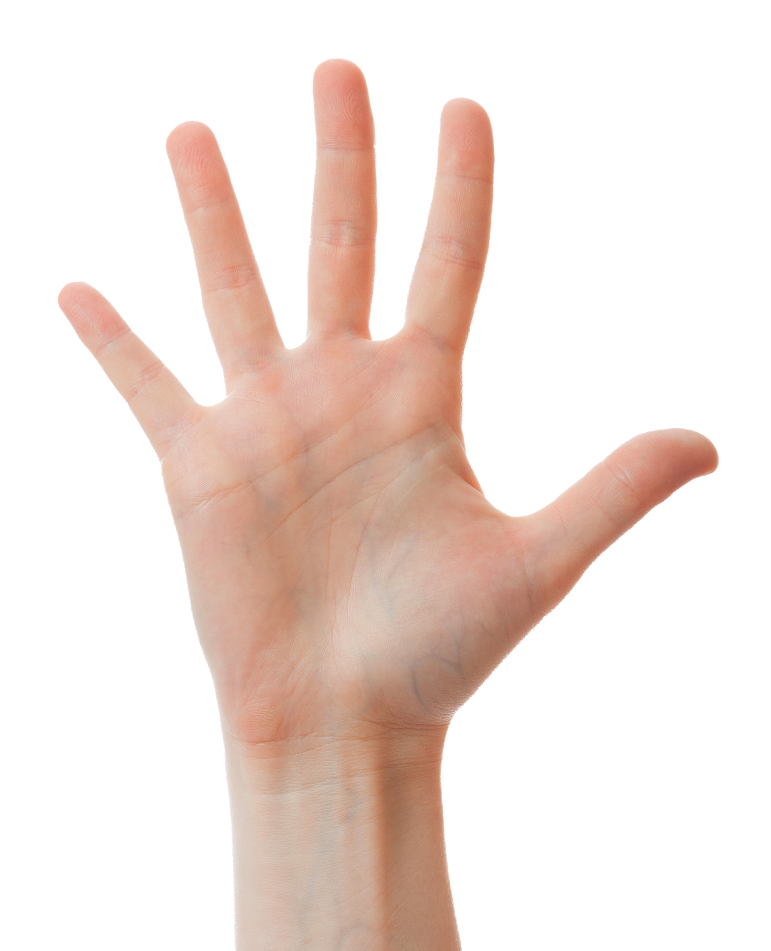 Human hand showing five fingers 23265440 PNG