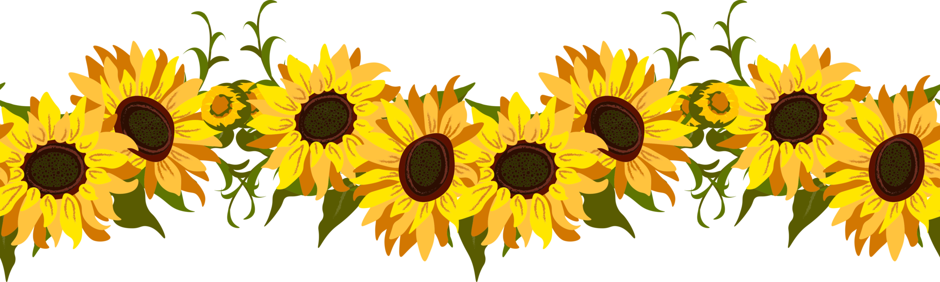 sunflowers border clip art