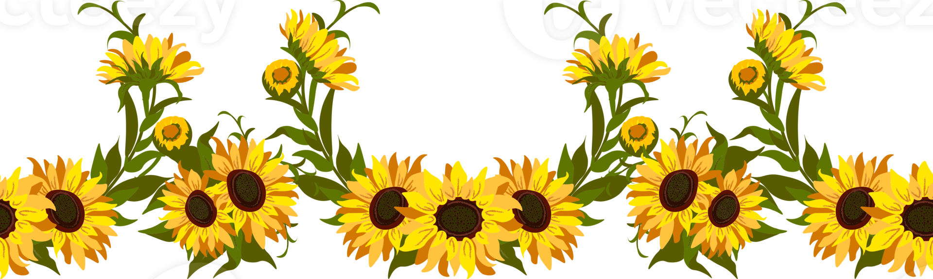 Sunflower Border Flowers png