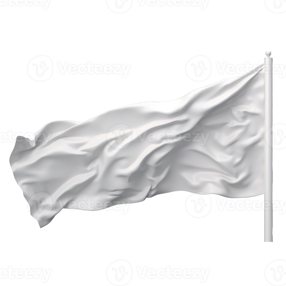 plain white flag . png