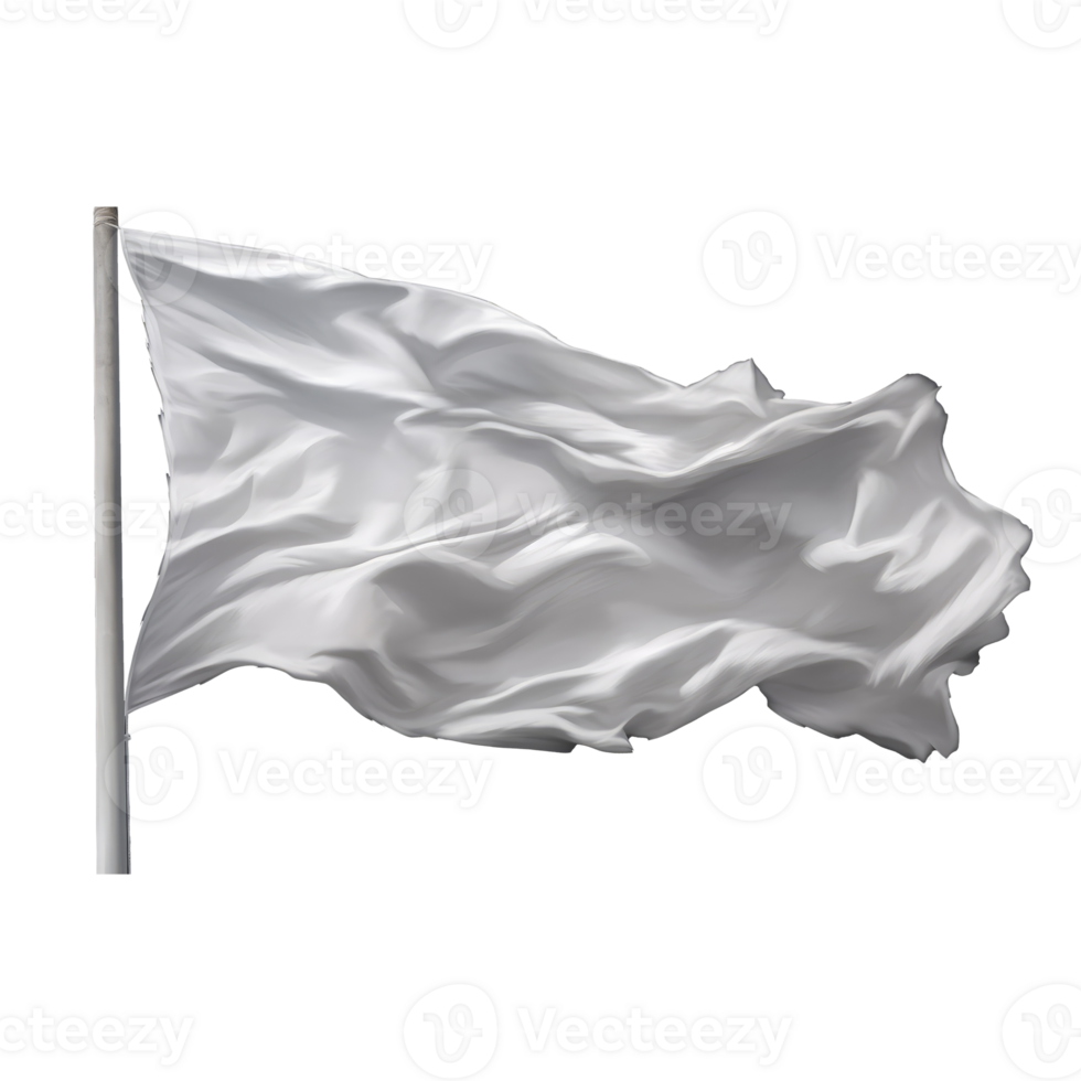 plain white flag . png