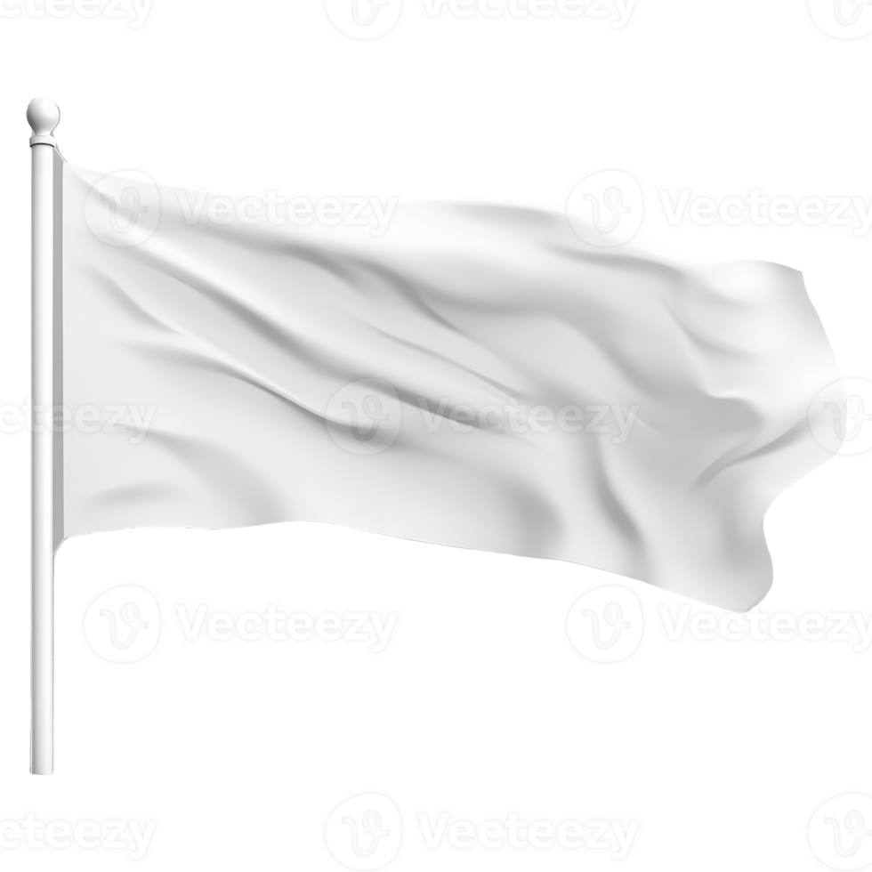 plain white flag . png