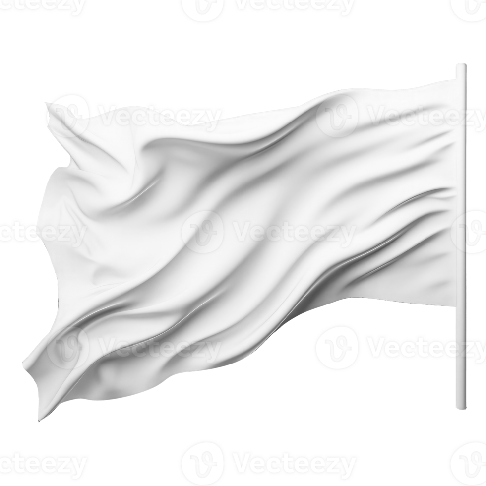 plain white flag . png