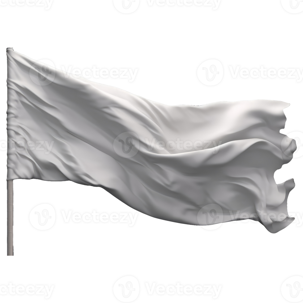 plain white flag . png