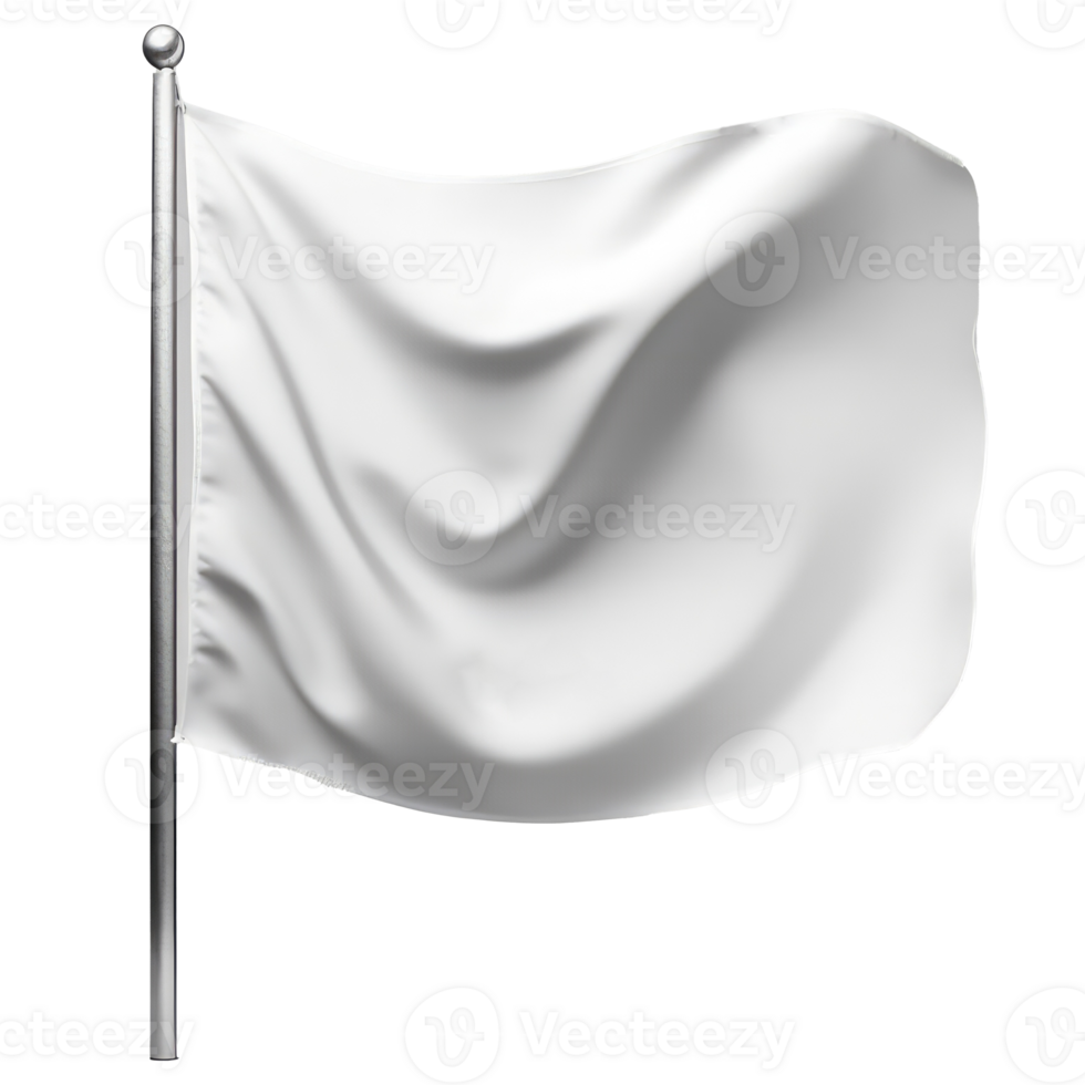 plain white flag . png