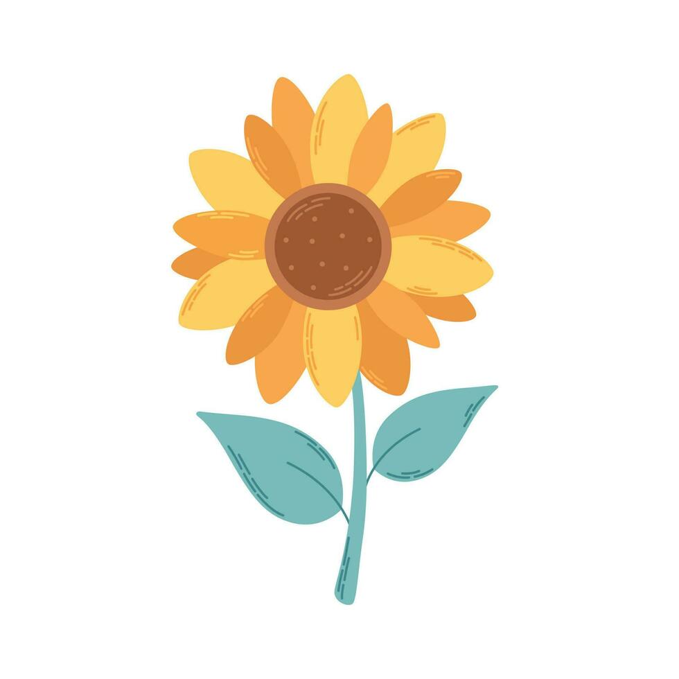 Cute sunflower with green leaves. vector