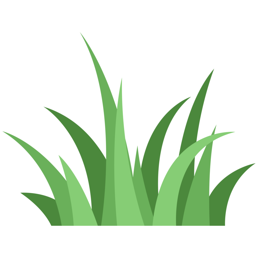 Scrub Grass PNG Illustrations