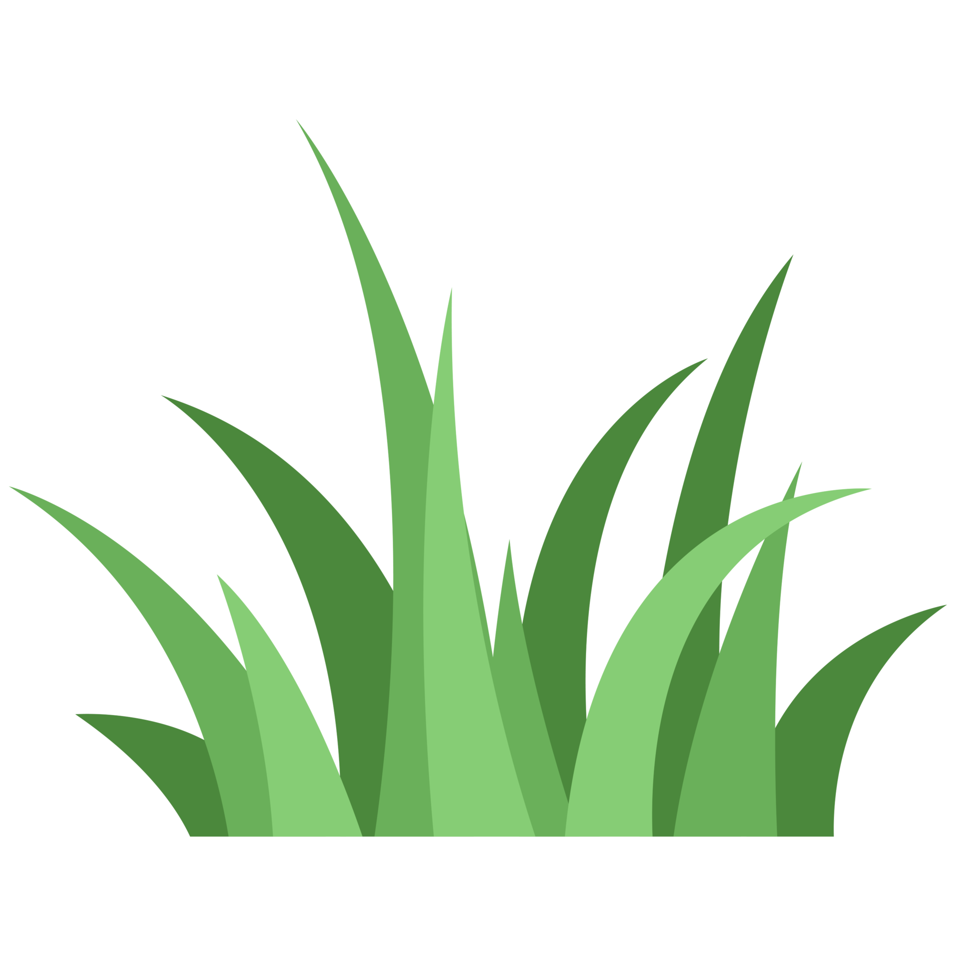Scrub Grass PNG Illustrations 23271175 PNG