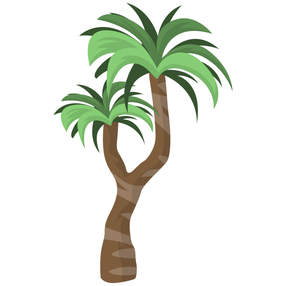 Tropical Plants Tree PNG Illustrations