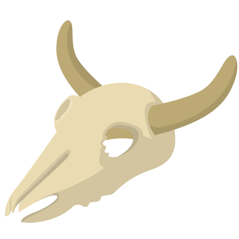 toro cráneo png ilustraciones