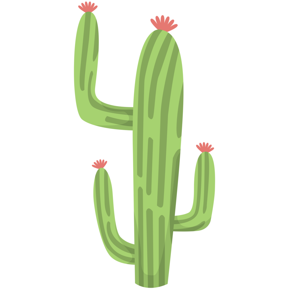 Cactus Saguaro PNG Illustrations