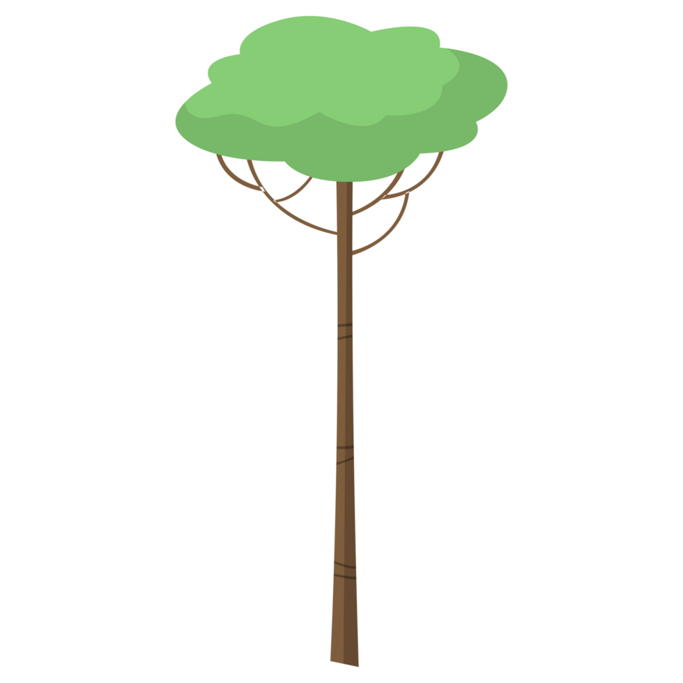 alto árbol png ilustraciones