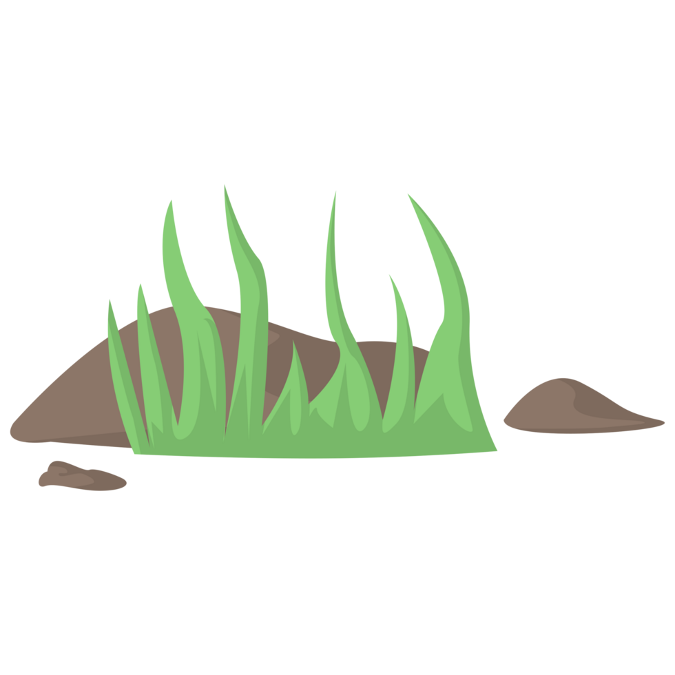 Turf PNG Illustrations