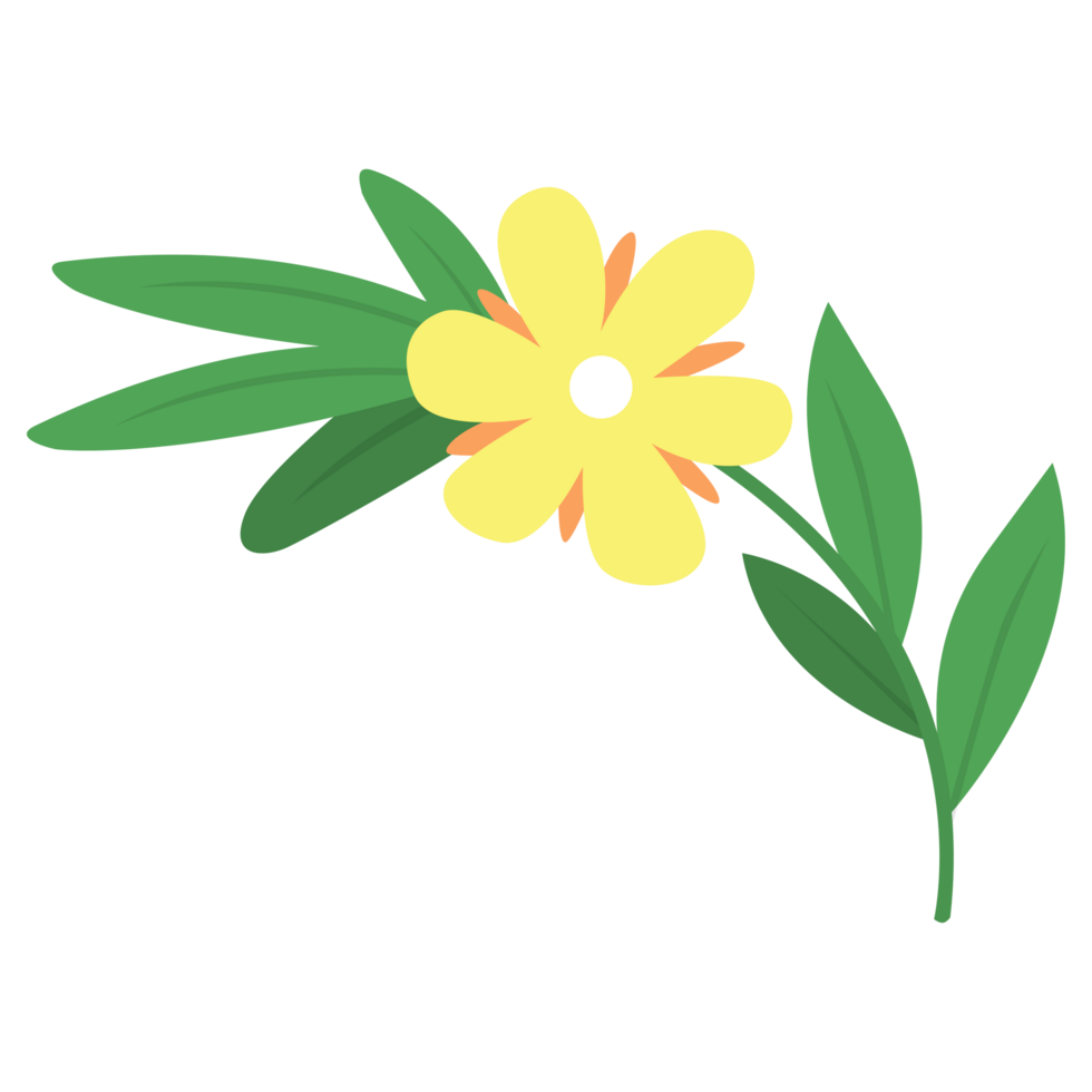 amarillo flor png ilustraciones